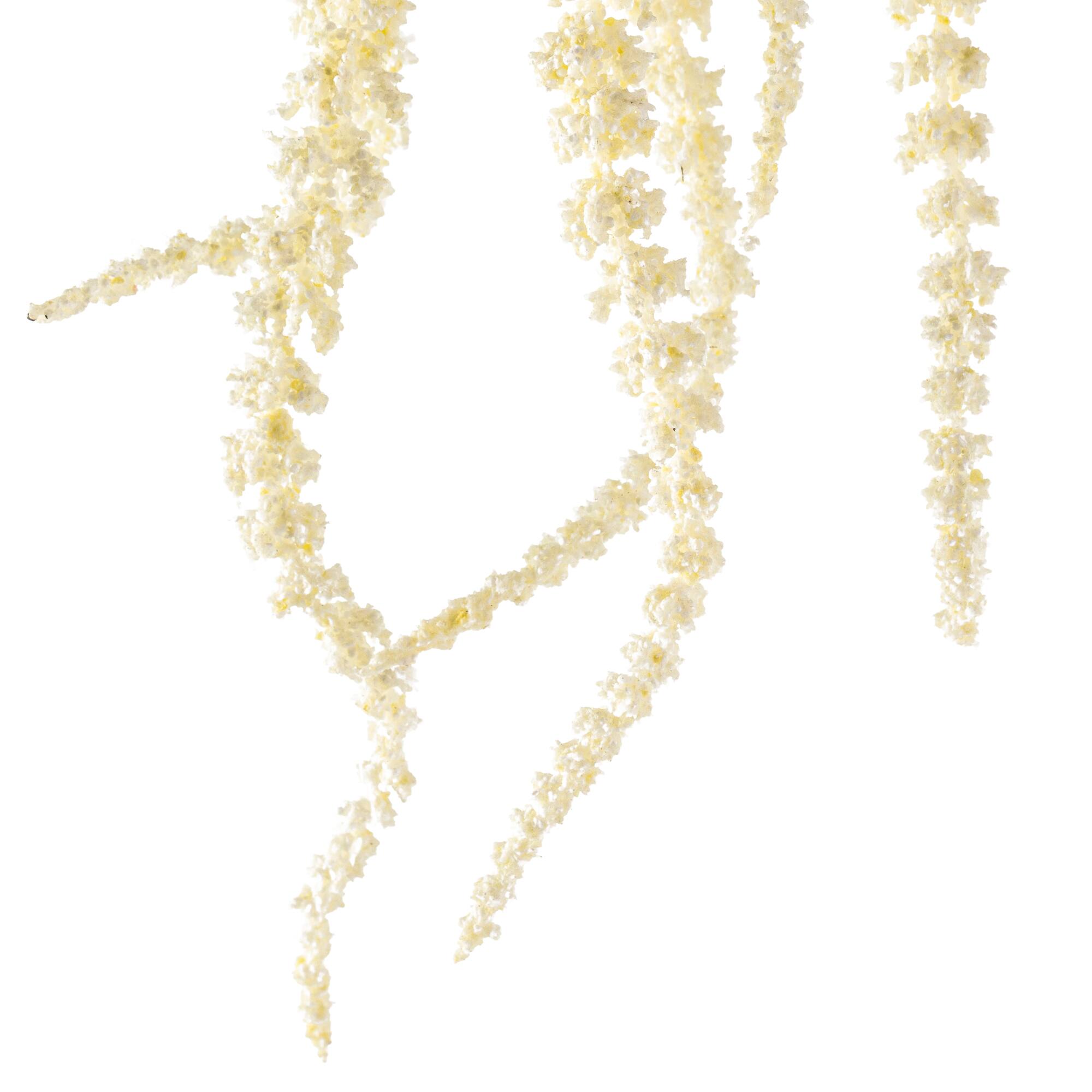 12 Pack: Cream Amaranthus Stem by Ashland®